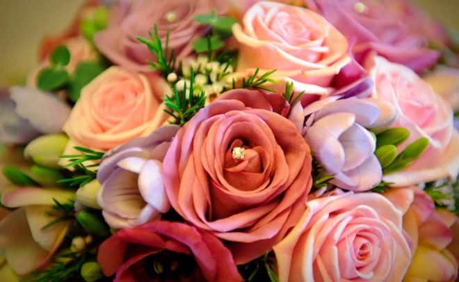 Flora and Fauna of Spring